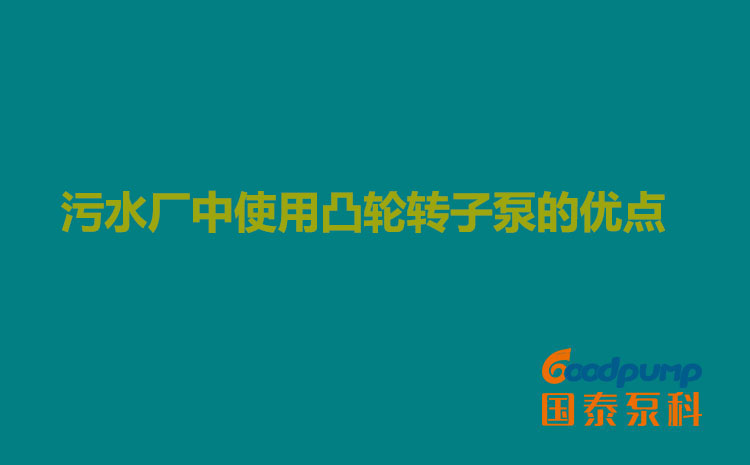 污水廠中使用凸輪轉子泵的優點